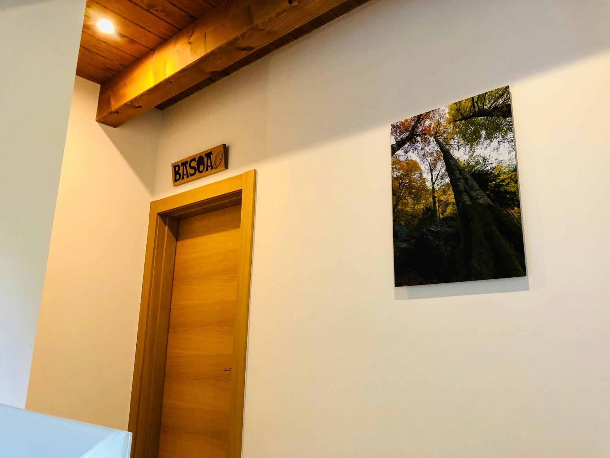 Apartamentos Zabalarena Basoa Orbaizeta Eksteriør billede